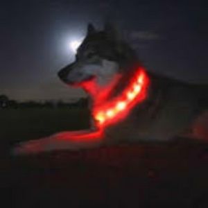 New! LED Water-resis Dog Collars "See Your Pets at Night!" Super Lightweight 2oz